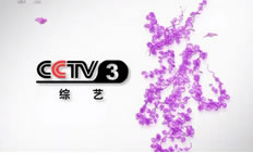 CCTV-3 综艺频道在线直播